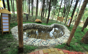 信陽(yáng)雞公山溫泉森林泡池實(shí)景圖